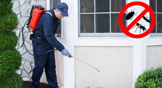 Kemaliye Böcek İlaçlama böcek ilaçlama ve haşere kontrolü — ilaclama-tr.com